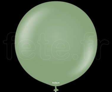 Ballon - Latex - Unis - Mat - Ø50cm - KALISAN 