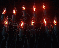Guirlande de Noel de 10 Ampoules Néon - L=4m - 220v - FLAMME 