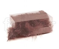 Plumes - Naturelles - Décoration - Table - 10/15cm - 30g CHOCOLAT 