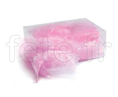 Plumes - Naturelles - Décoration - Table - 10/15cm - 30g 